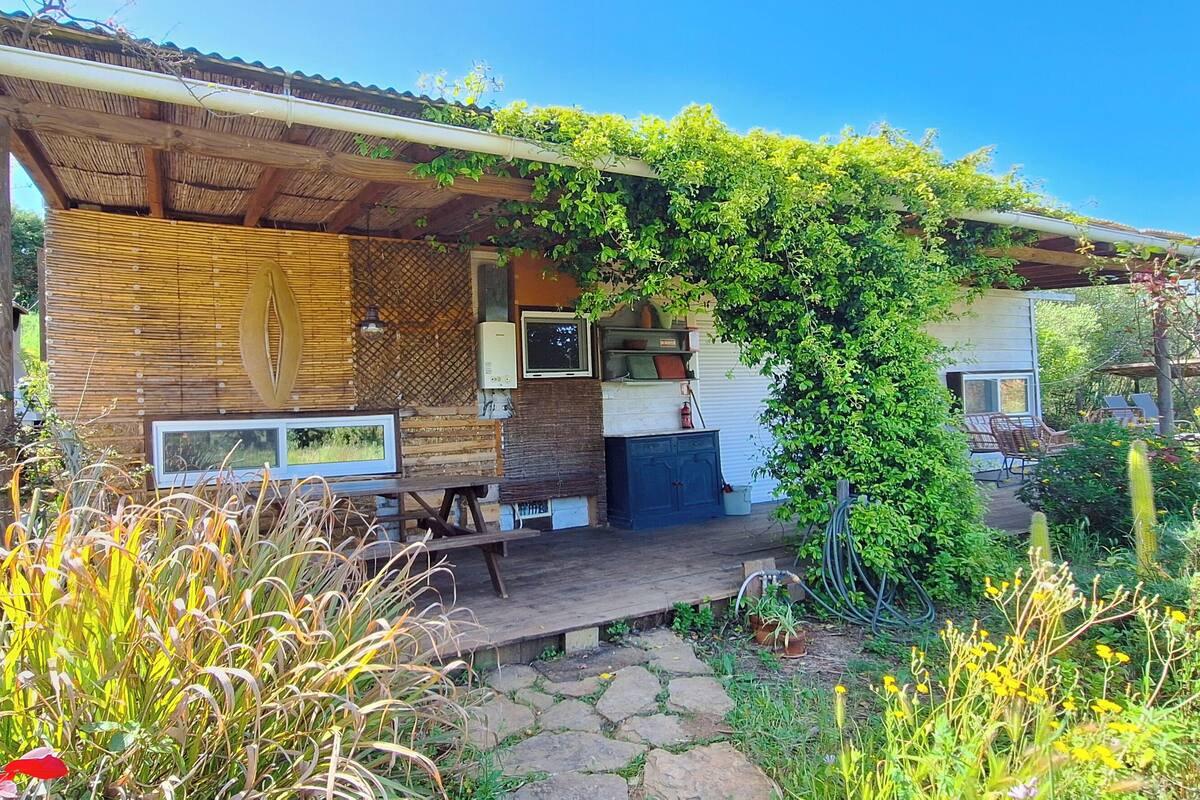 Une maison de campagne au revêtement extérieur en bois, dotée d’un porche abrité et d’un jardin où poussent diverses plantes et fleurs.