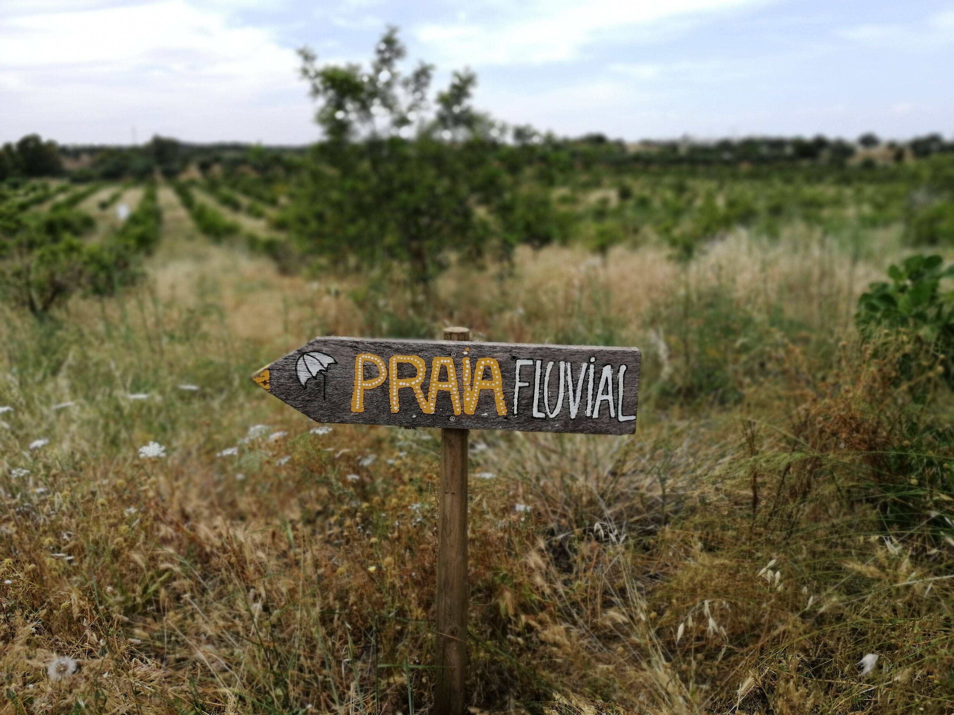Photo - Quinta da Fornalha - Santuario Agroecologico