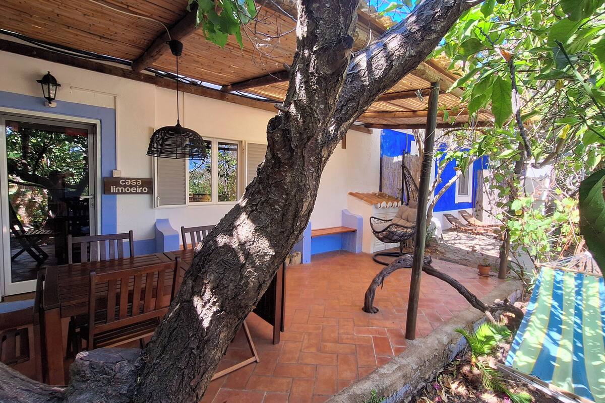 Un patio couvert avec une table et des chaises en bois, un fauteuil suspendu et un mur bleu avec une fenêtre.