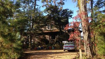 A rustic cabin with a dirt driveway, surrounded by tall pine trees and a large red-leaved tree.