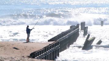 Sun-loungers, beach umbrellas, windsurfing, kayaking