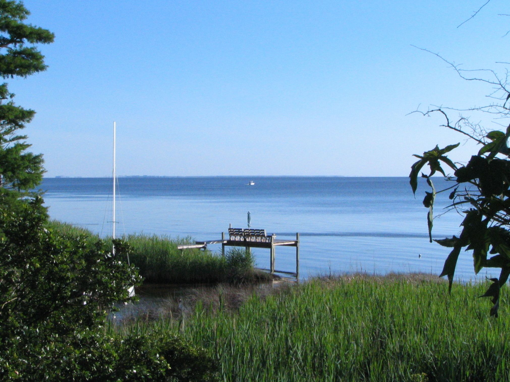 A bench by a calm sea with a clear sky.