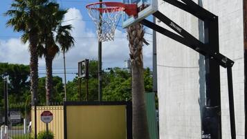 A basketball hoop with a stop sign nearby, palm trees, and a concrete wall.