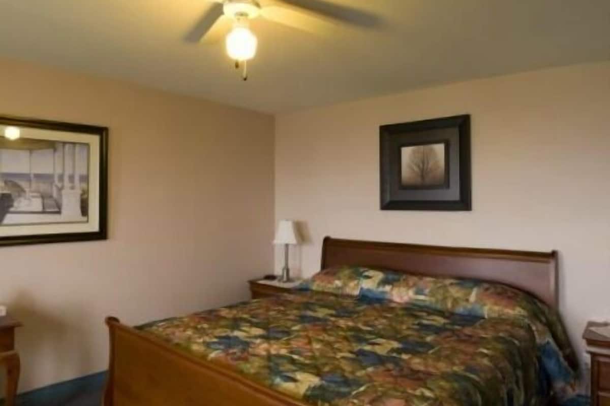 A bedroom with a bed, a ceiling fan, a nightstand, a lamp, and two framed pictures on the wall.