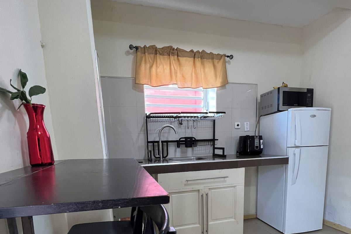 deluxe apartment, multiple beds, non smoking, kitchenette | private kitchen | fridge, stovetop, cookware/dishes/utensils