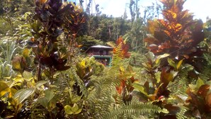 A small, rustic building surrounded by dense tropical foliage. - 3 Rivers & Rosalie Forest Eco Lodge (Rosalie)