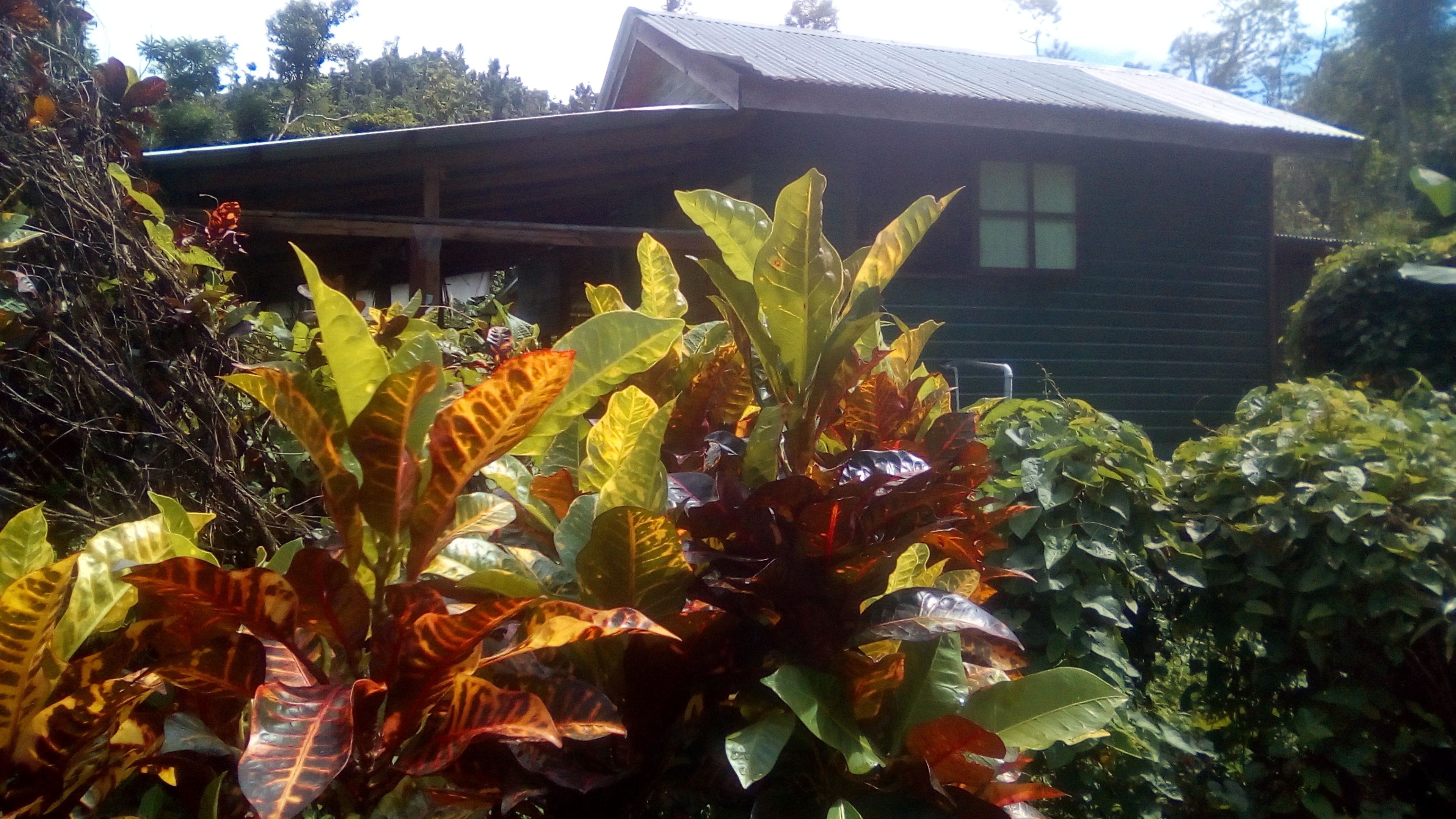 Photo - 3 Rivers Eco Lodge