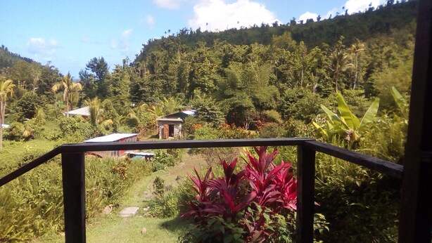 A lush green landscape with a small building and a path leading through it. - 3 Rivers & Rosalie Forest Eco Lodge (Rosalie)