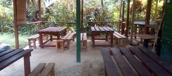 3 Rivers & Rosalie Forest Eco Lodge