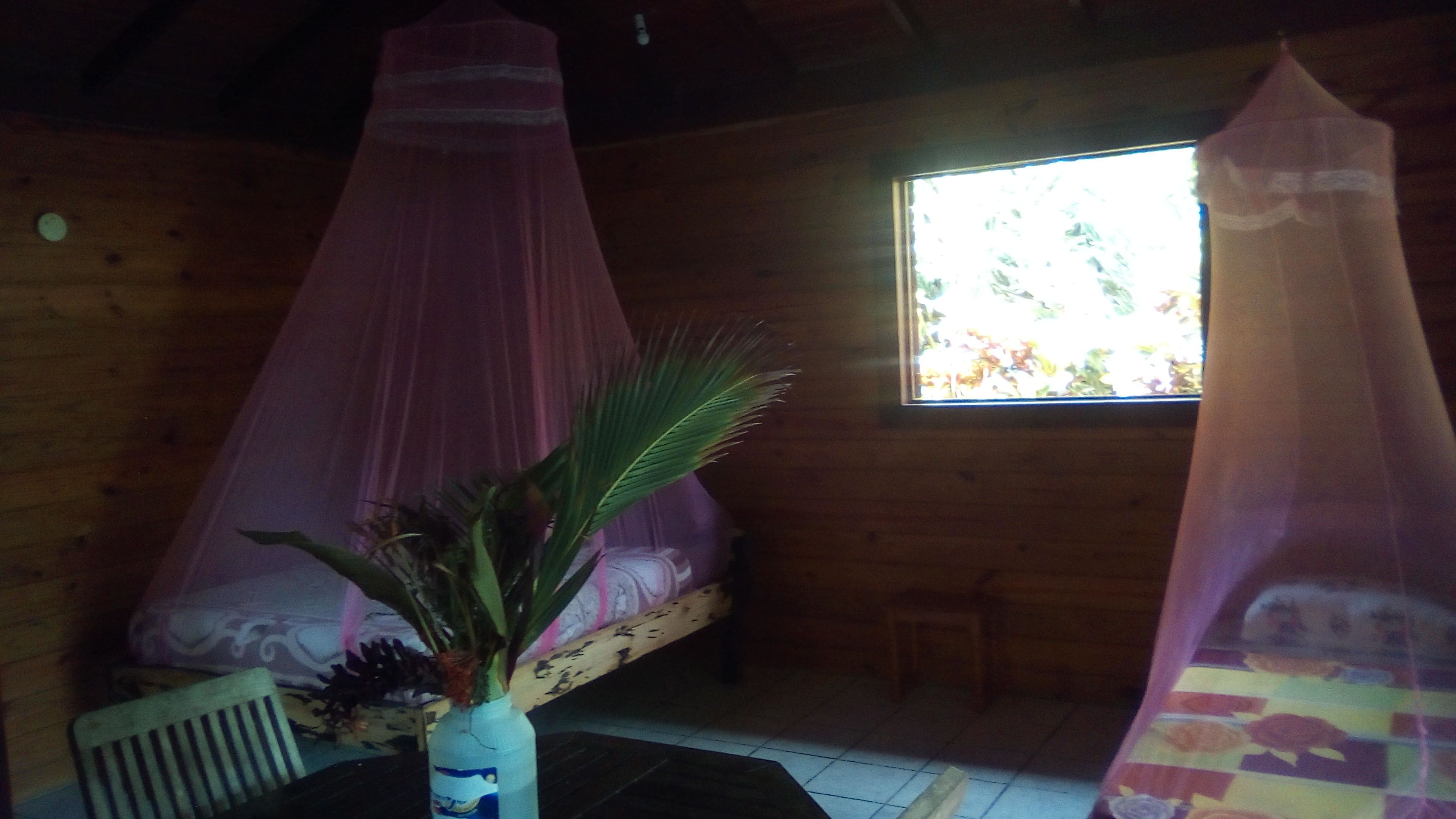 Photo - 3 Rivers Eco Lodge