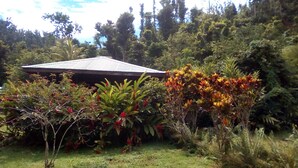 A house surrounded by dense tropical vegetation. - 3 Rivers & Rosalie Forest Eco Lodge (Rosalie)