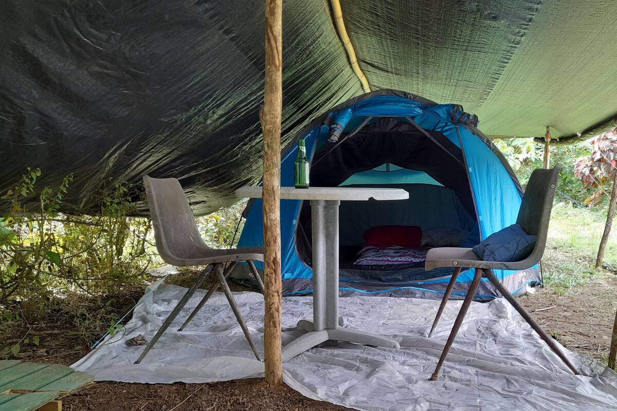 Ein Zelt mit Tisch und Stühlen unter einer Plane, umgeben von Bäumen und Vegetation.