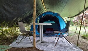 Basic Tent | Free WiFi, bed sheets - 3 Rivers & Rosalie Forest Eco Lodge (Rosalie)
