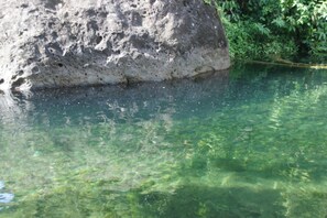 Une formation rocheuse naturelle, en partie immergée dans une eau claire, et entourée d’une végétation luxuriante.