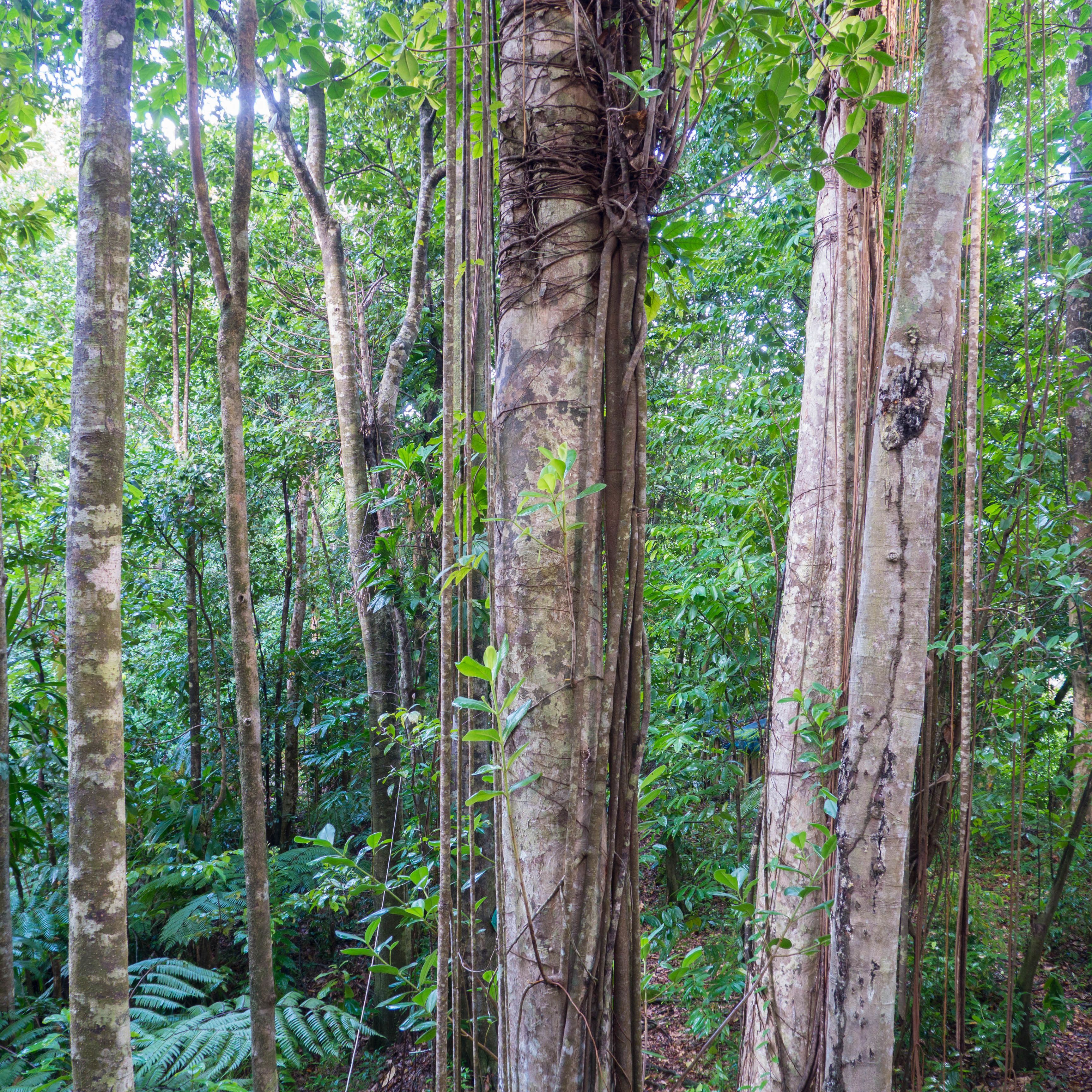 Photo - 3 Rivers Eco Lodge