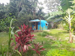 Une petite construction d’un seul étage, de couleur bleue, dotée d’une porte et d’une fenêtre, et entourée d’une végétation luxuriante et d’arbres.
