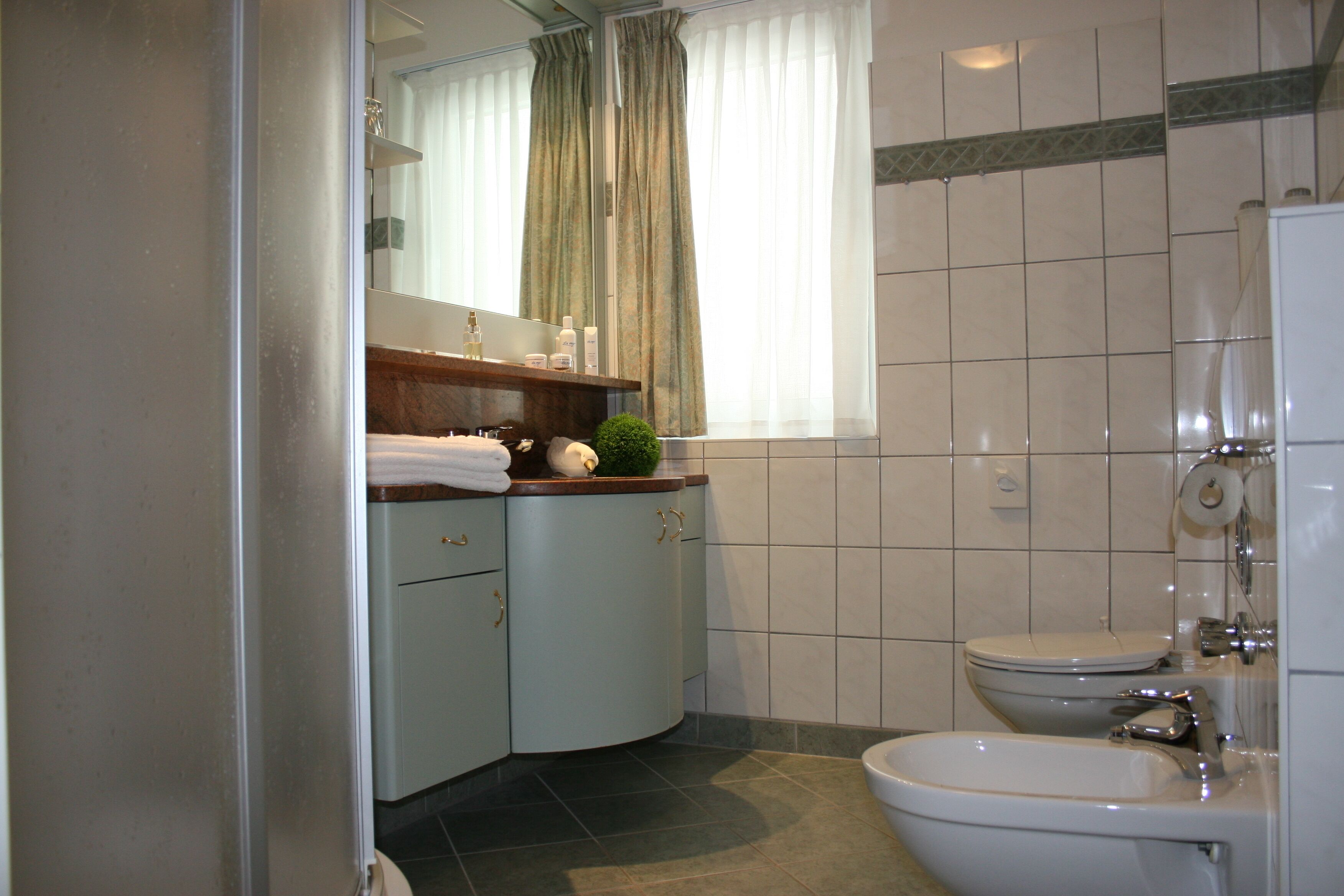 shower, free toiletries, hair dryer, bidet