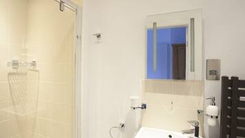 A modern bathroom with a glass shower enclosure, a white sink, and a mirror above it.