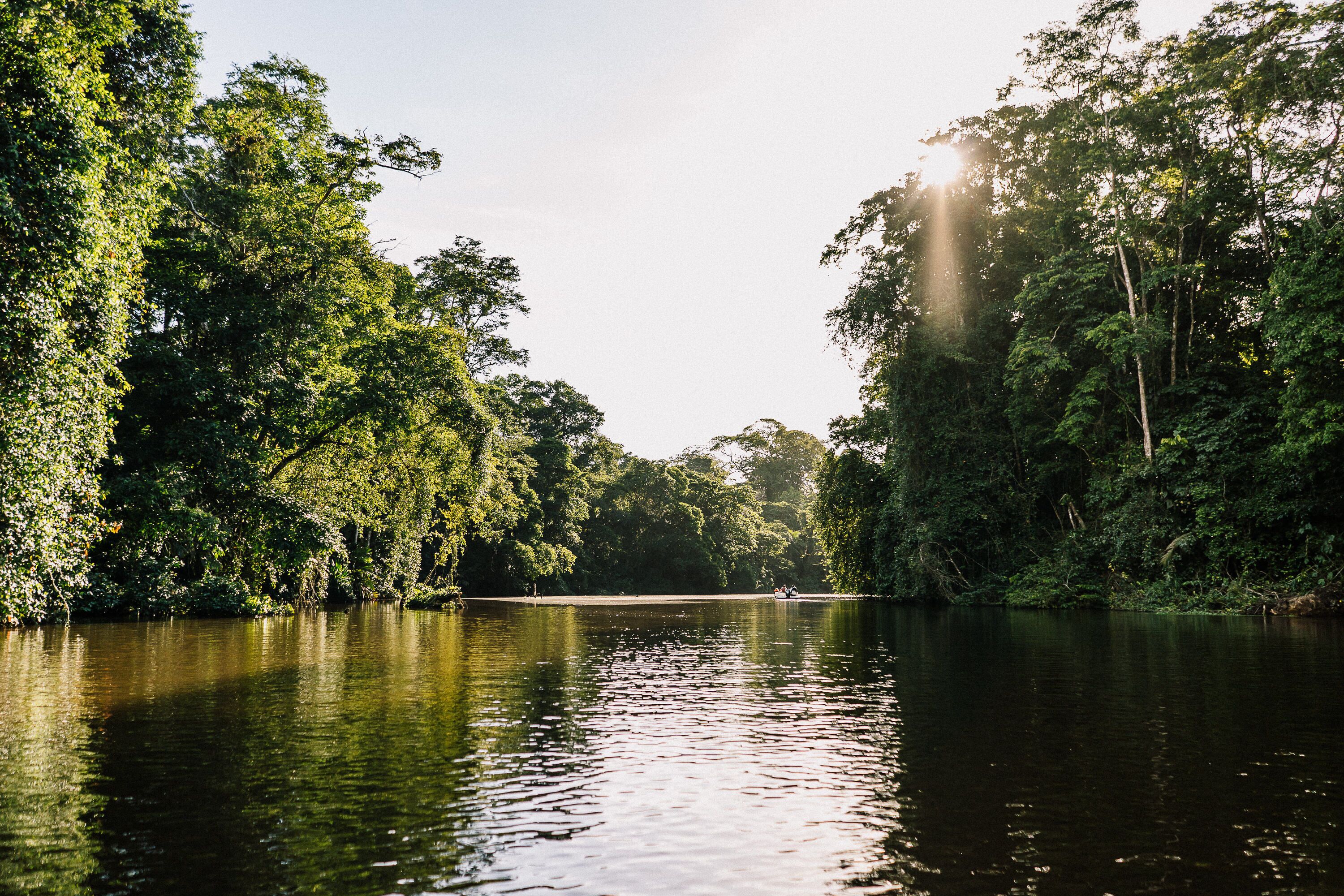 A calm river surrounded by dense greenery.