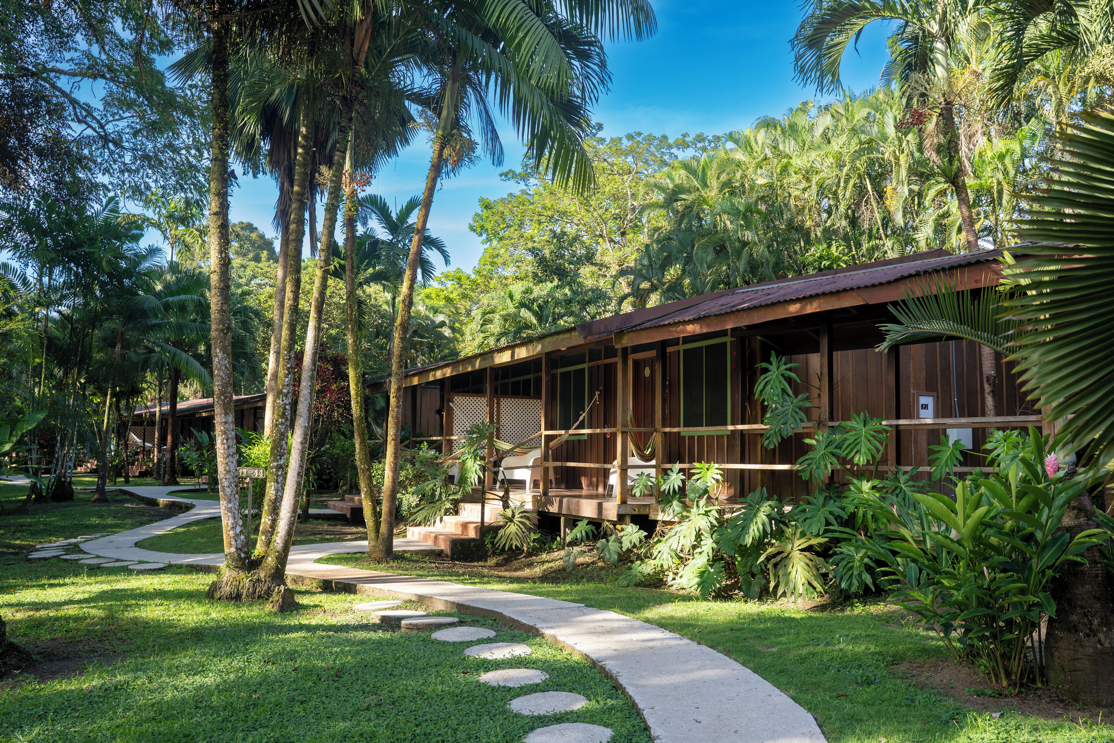 A bungalow with a porch, surrounded by lush greenery and palm trees.