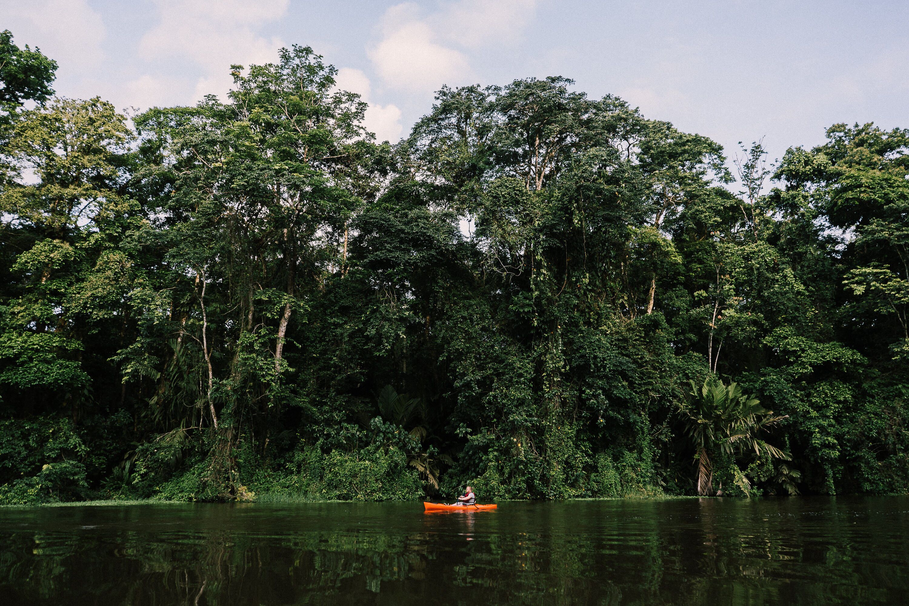 Eine Person sitzt in einem Kanu auf einem ruhigen Fluss, umgeben von dichtem Wald.