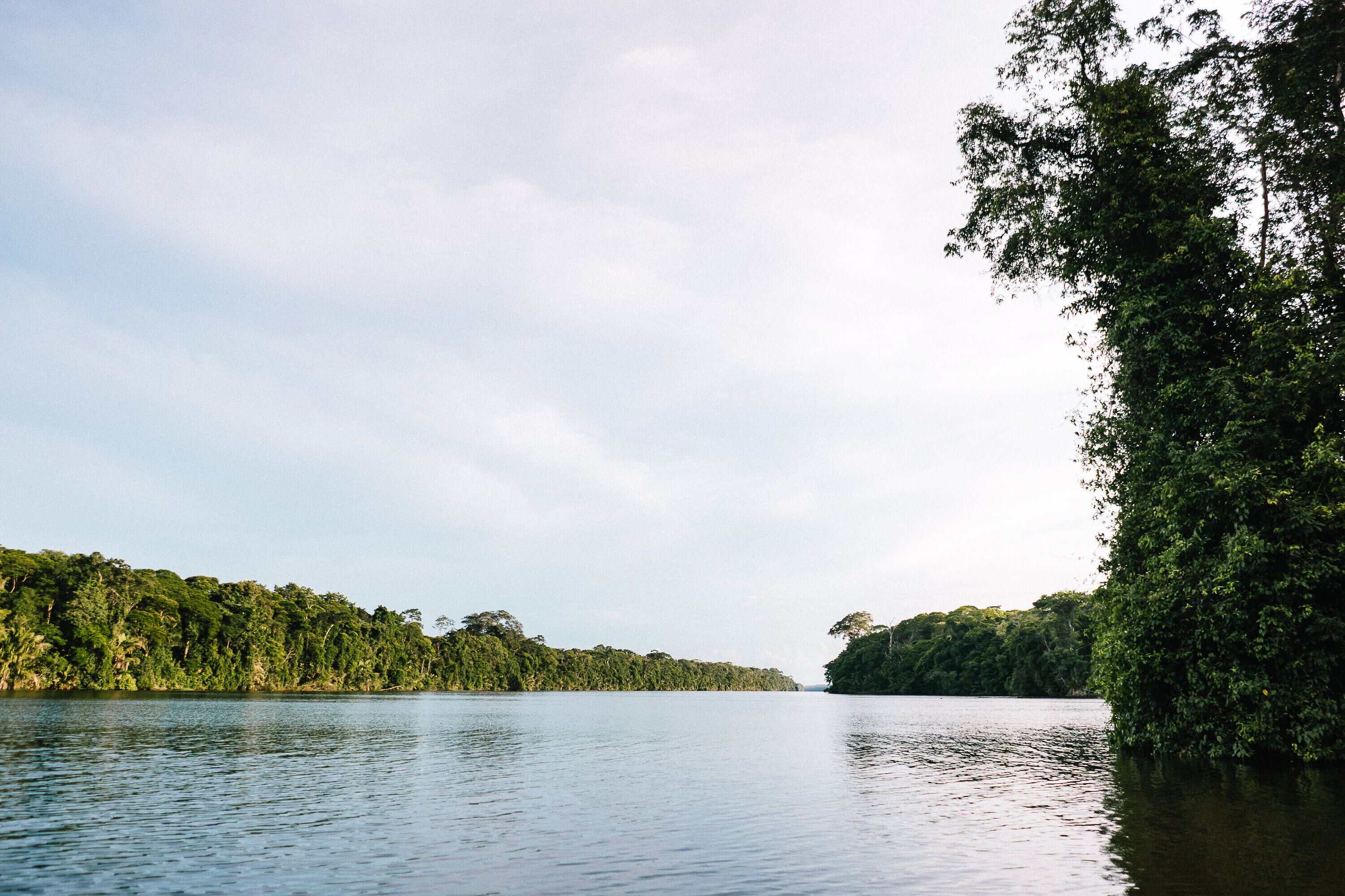 Un lac paisible, entouré d’une forêt dense.