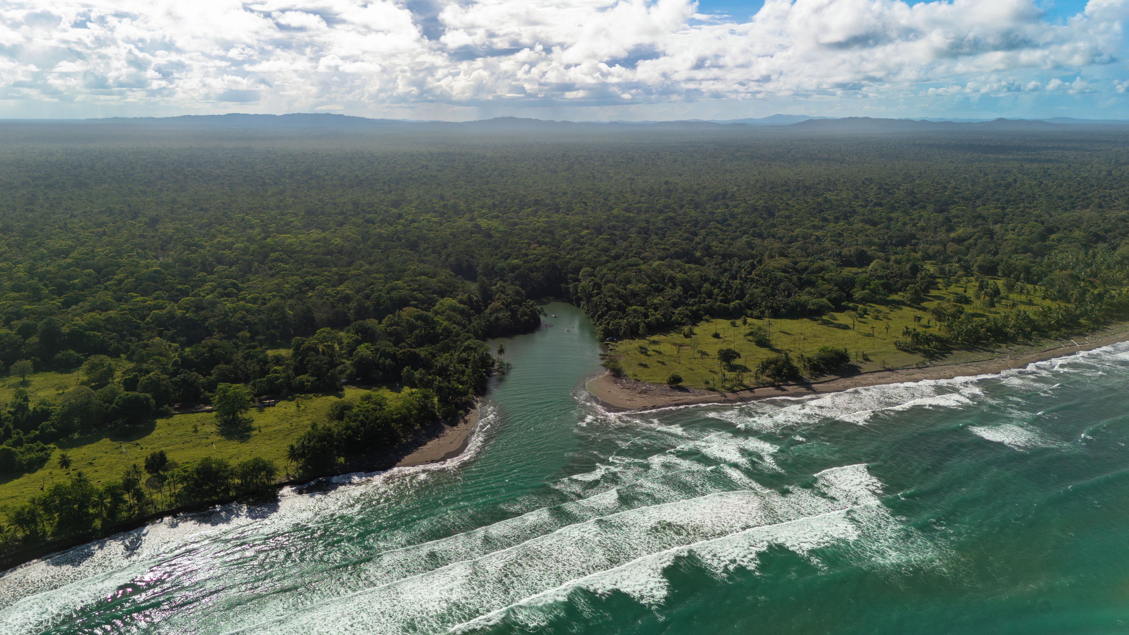 An aerial view of a coastal area with dense forest, a river, and a beach.