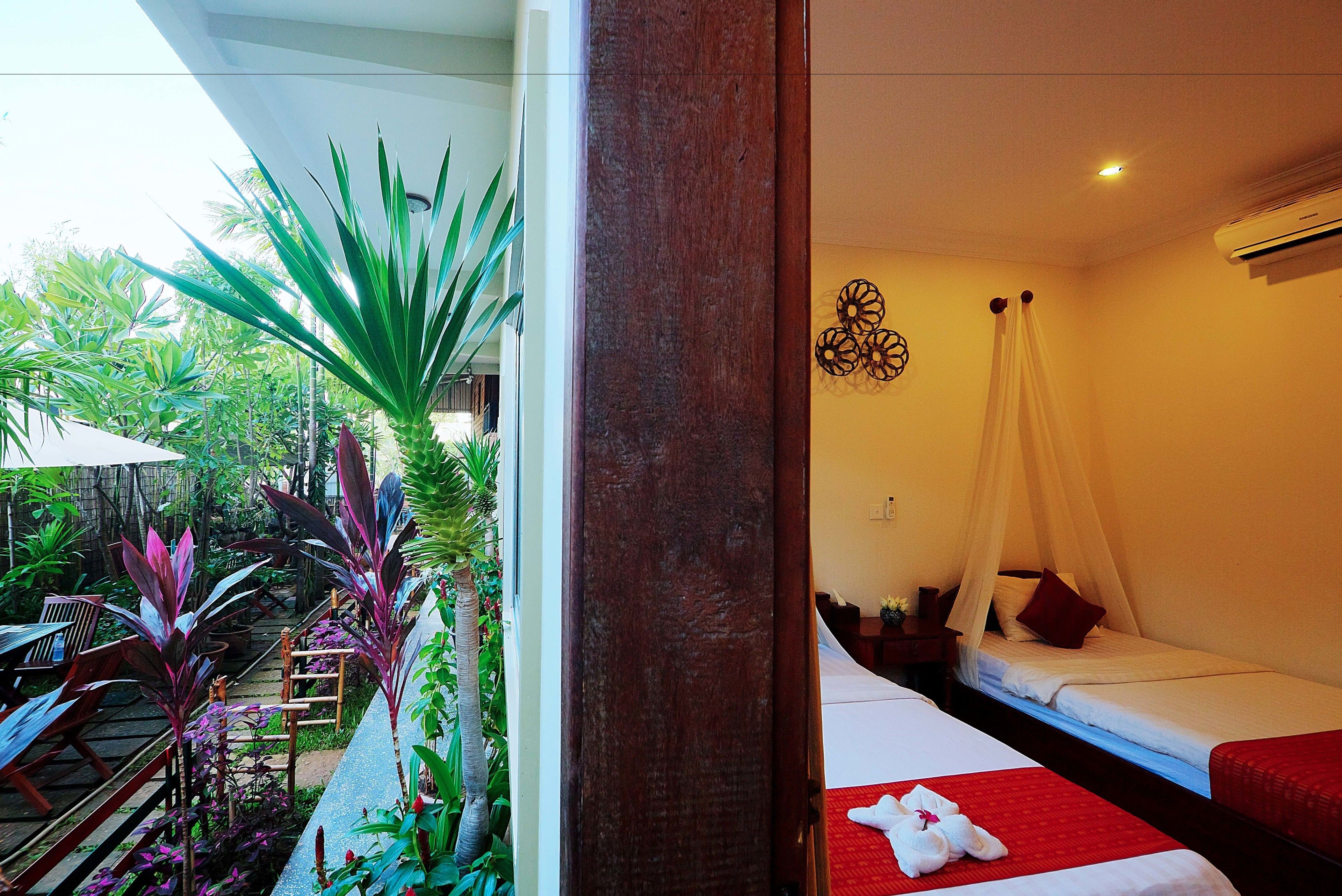 deluxe twin room, garden view | view from room