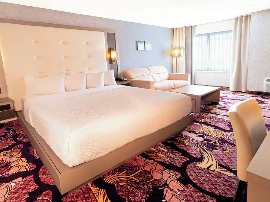 Habitación de hotel con una cama grande, un sofá, un escritorio y una alfombra estampada.