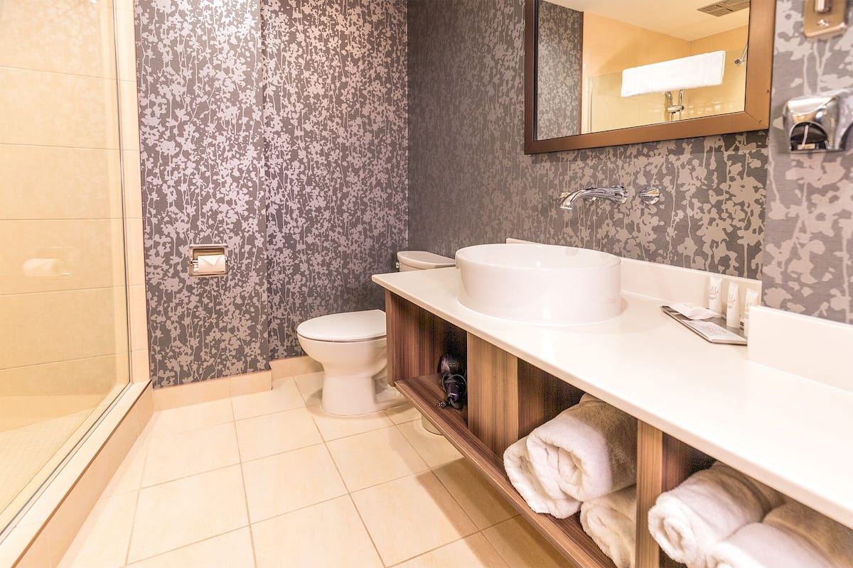 shower, rainfall showerhead, free toiletries, hair dryer