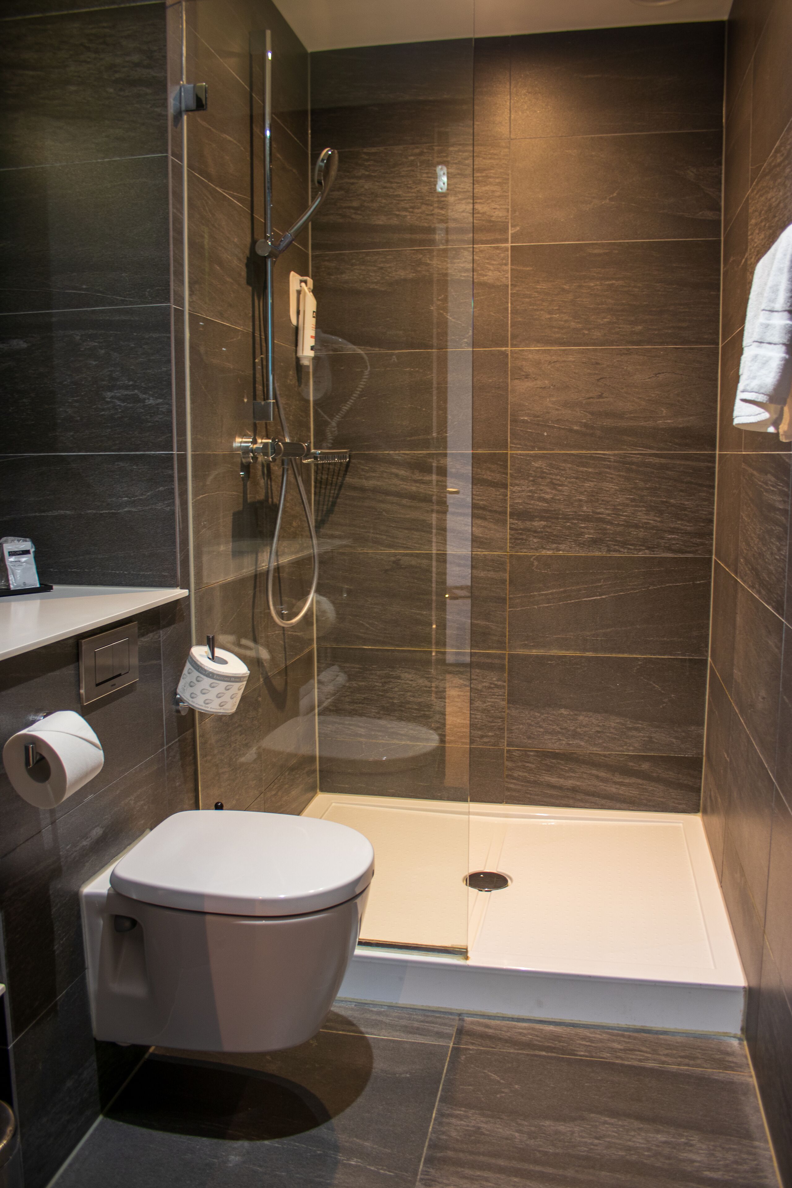 Eco-friendly toiletries, hair dryer, towels