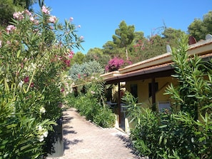 Căn hộ, 1 phòng ngủ (4 people) | Vườn