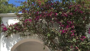 Un patio al aire libre con un arco blanco, una mesa de mimbre con sillas y plantas con flores.
