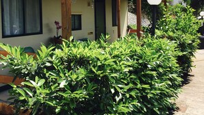 Un edificio pequeño de una sola planta con un porche de madera y un jardín con arbustos verdes.