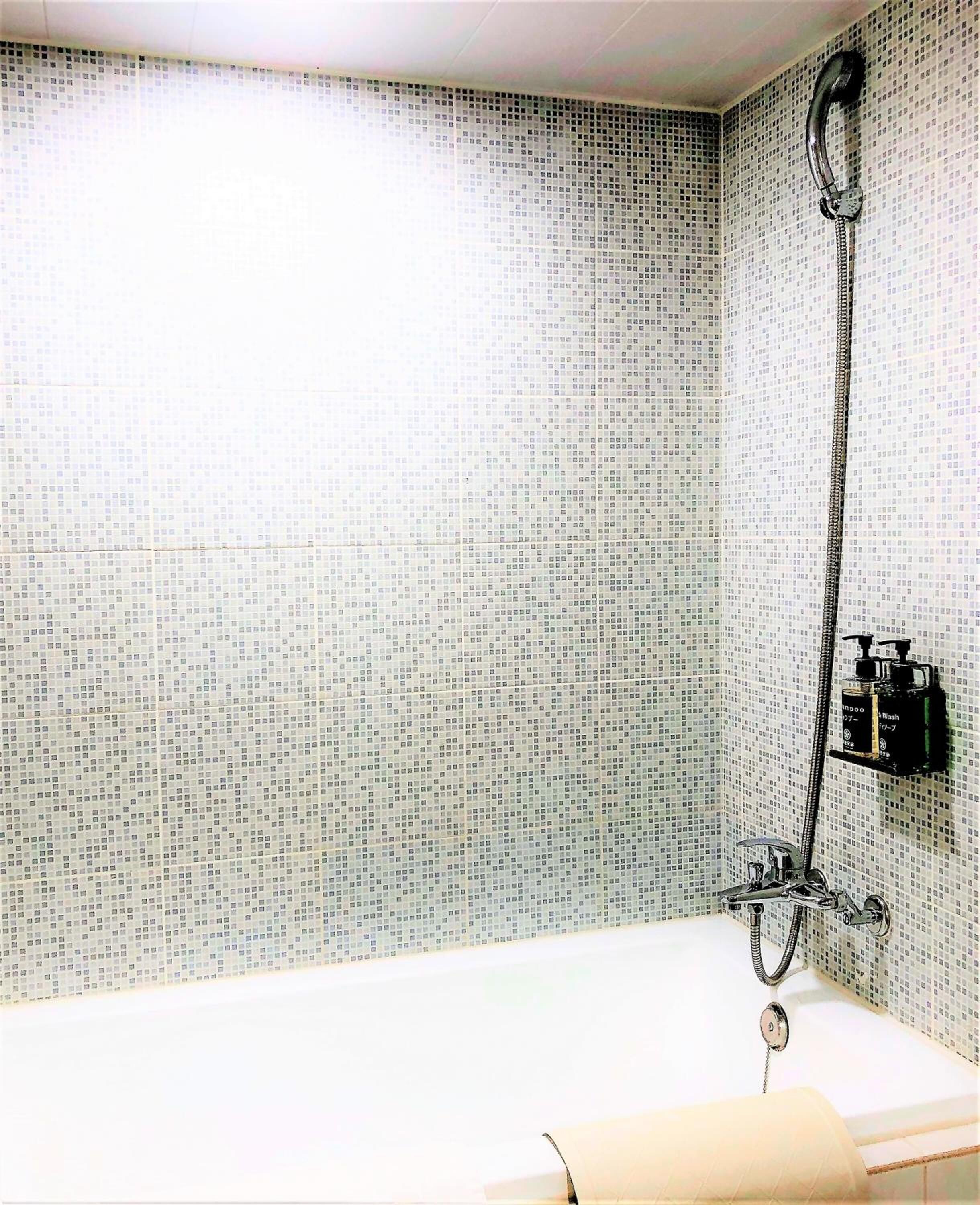 free toiletries, hair dryer, slippers, bidet