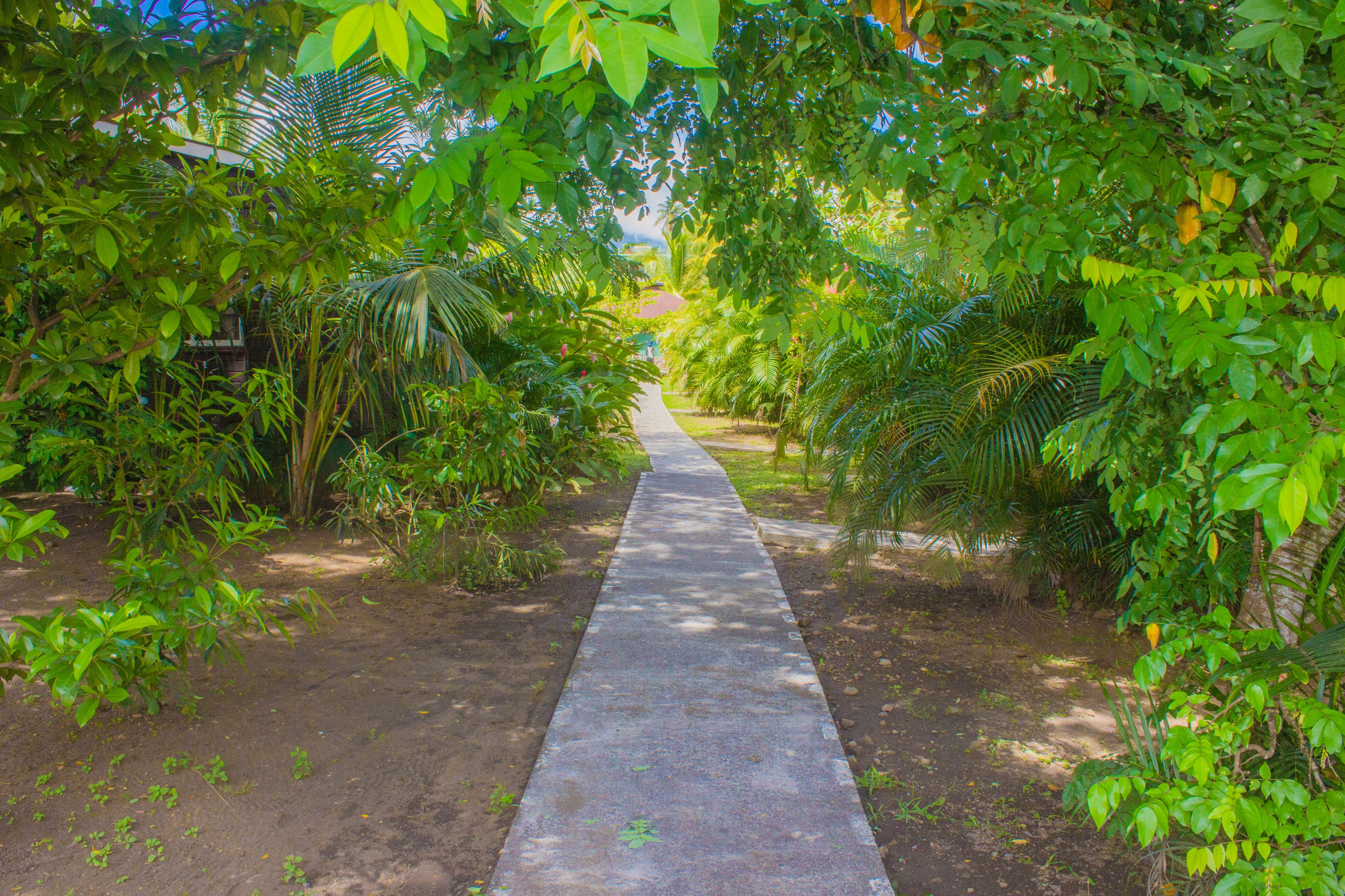 Photo - Picard Beach Cottages