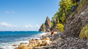 Una playa rocosa con grandes rocas y palmeras.