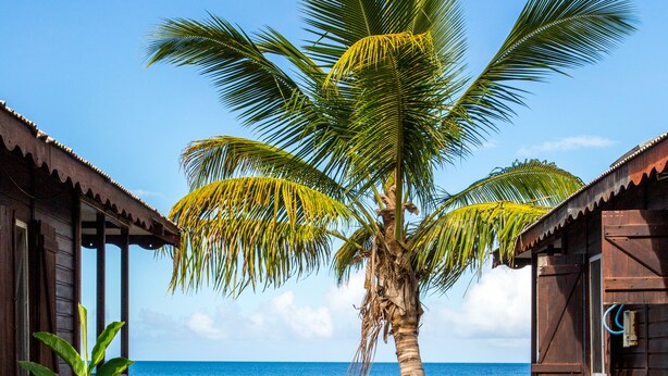 Un sendero que lleva a una playa con dos cabañas de madera, una palmera y dos sillas blancas.