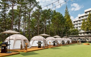 Grill-/picnicområde