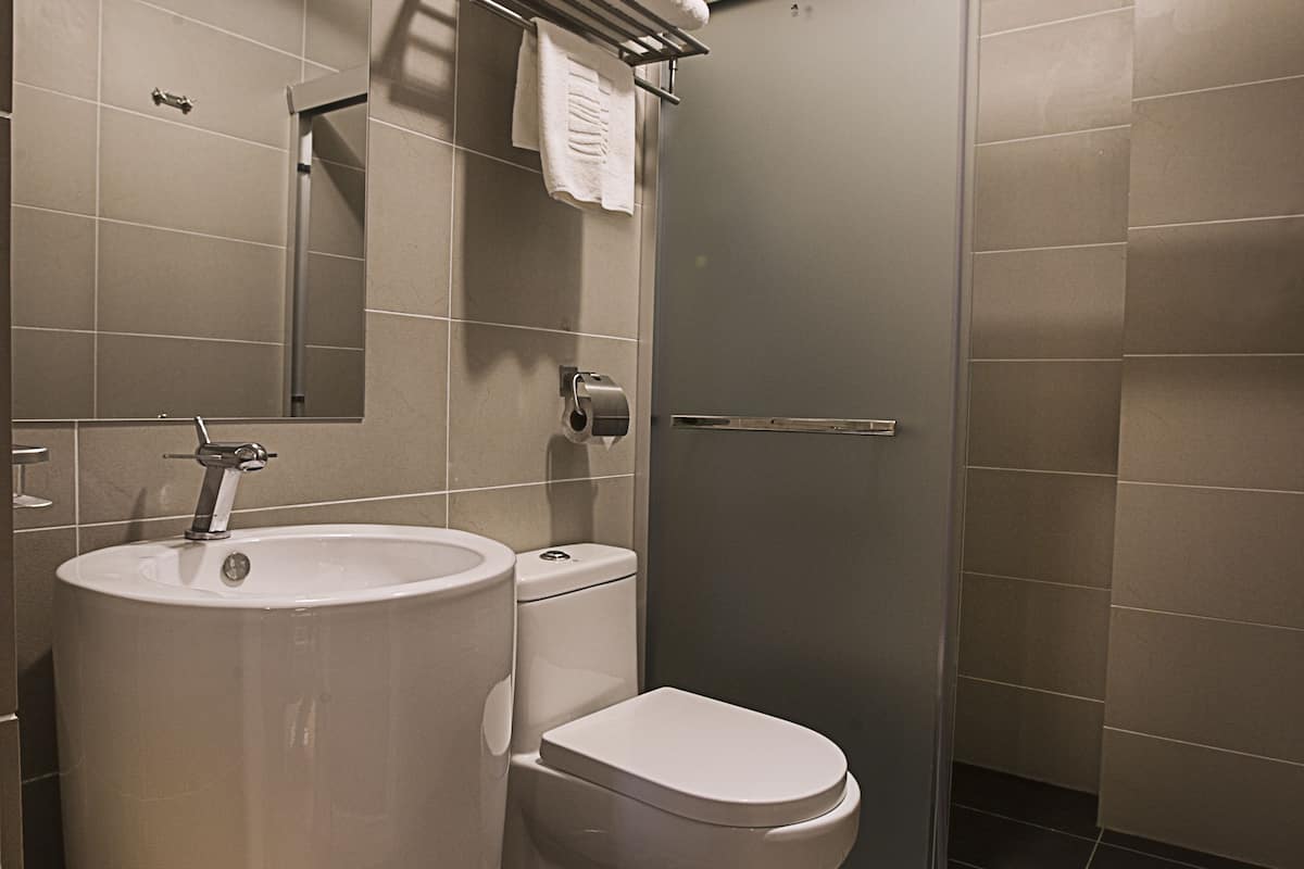 first class family | bathroom | shower, hair dryer, towels