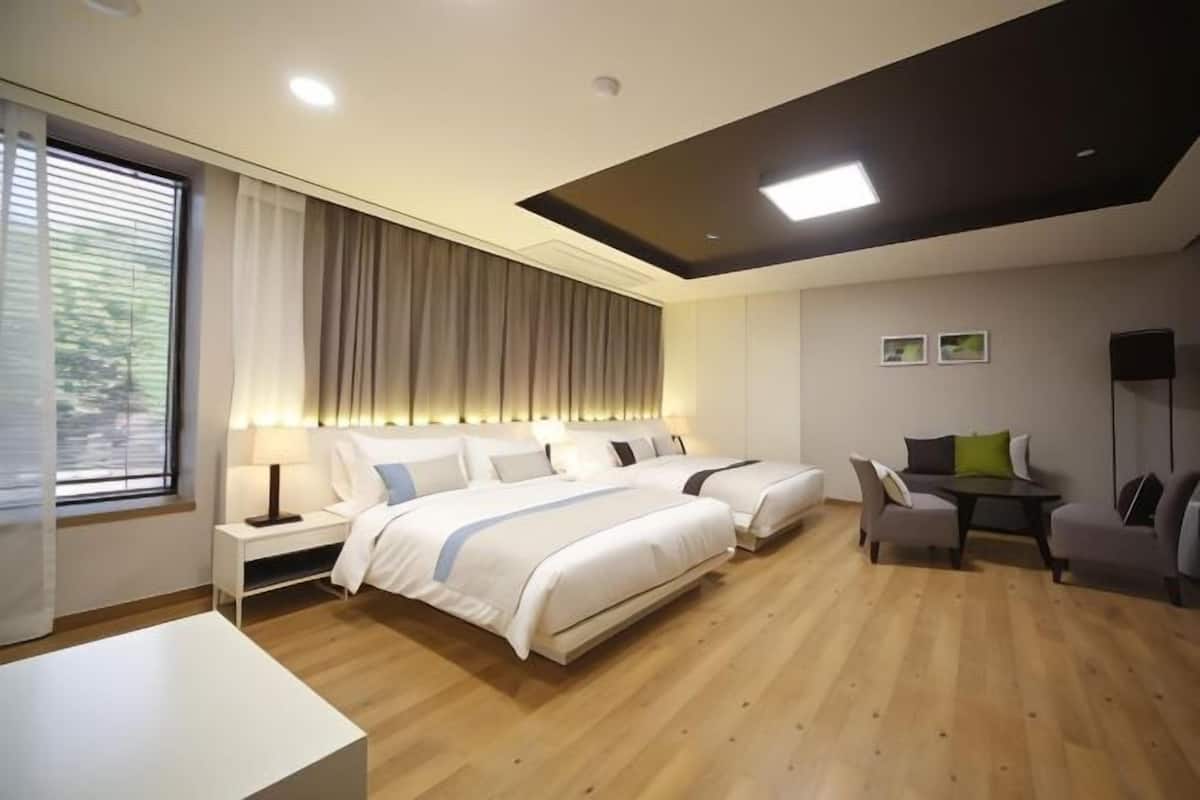 1 chambre, couette en duvet d'oie, rideaux occultants