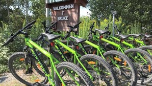A row of green bicycles parked in front of a wooden sign with text. - Hällefors Vandrarhem & Kanotcenter - Hostel (Hallefors)