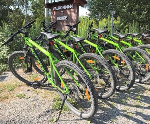 Property grounds - Hällefors Vandrarhem & Kanotcenter - Hostel (Hallefors)