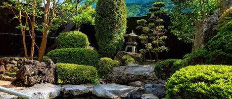 Hot springs