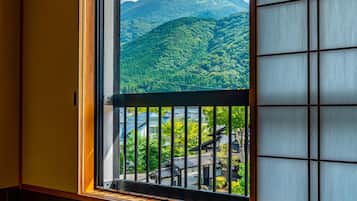 Vista desde la habitación