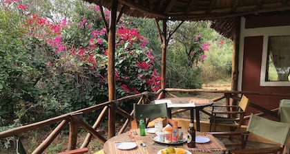 Maasai Simba Camp