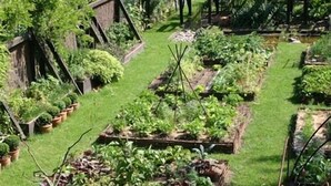 A garden with raised beds and potted plants. - Lescalier (Brumath)