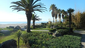 Un jardín arbolado con palmeras, un sendero y vistas a la playa.