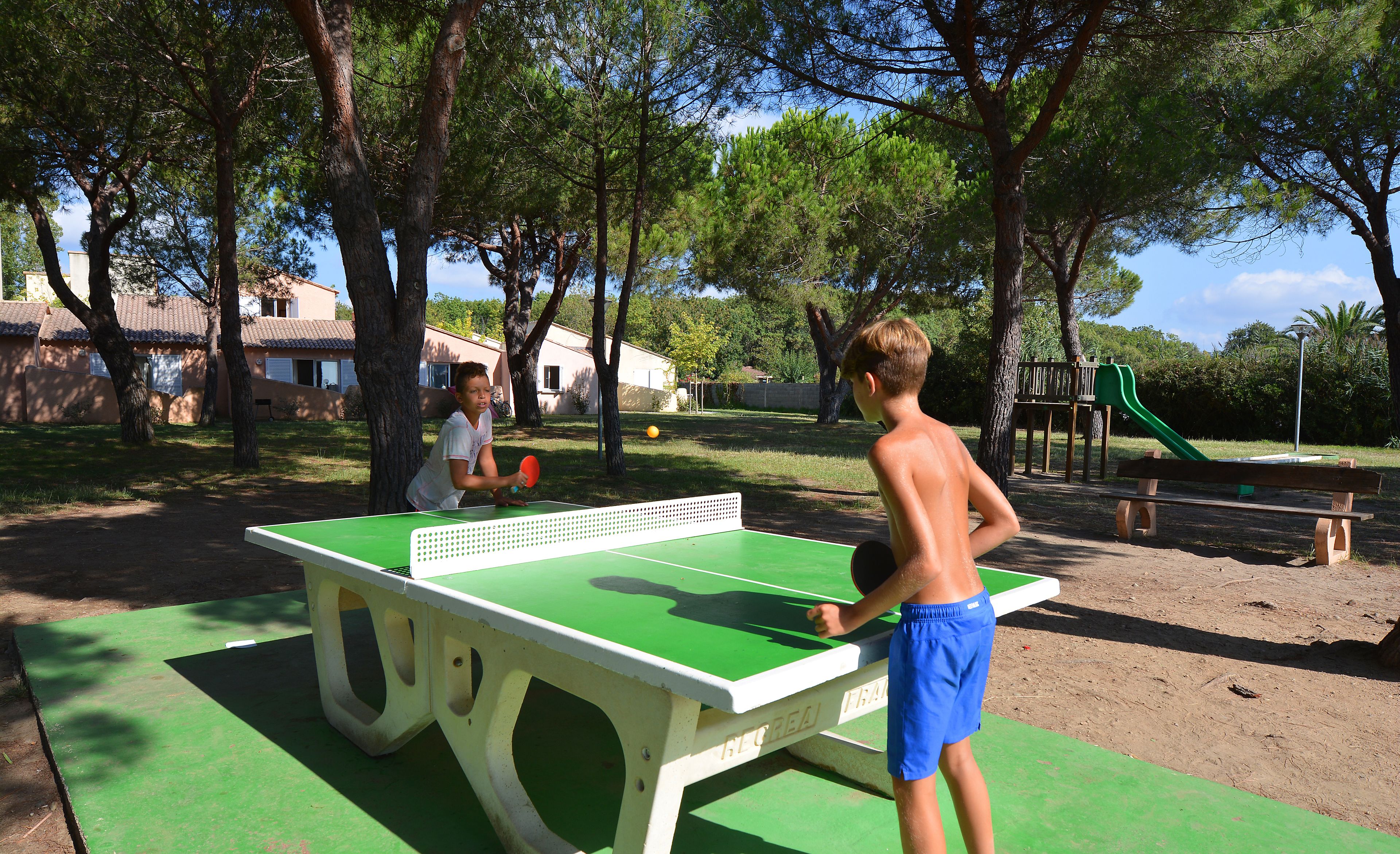 Una mesa de ping pong en un parque al aire libre con árboles y un parque infantil de fondo.