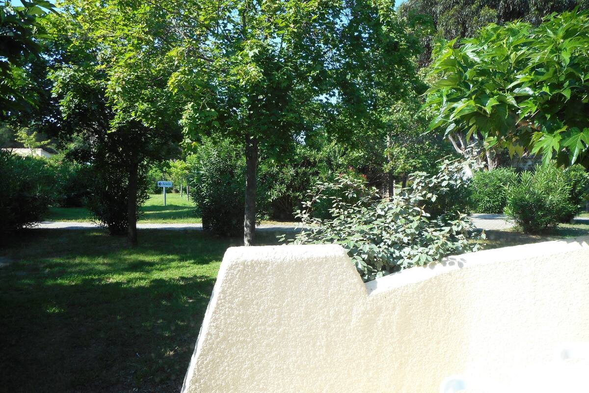 Un espace jardin agrémenté d’un banc blanc, d’arbres et d’un sentier.